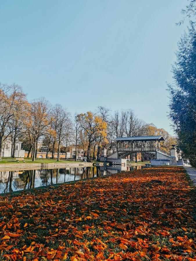 La Cabane Lille Centre المظهر الخارجي الصورة